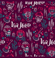 mexico vector image