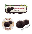 set of mushroom banner badge sticker vector image vector image