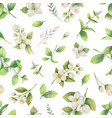 watercolor seamless pattern of flowers vector image