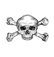 jolly roger hand drawn human skull and crossbones vector image