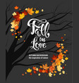 leaves as frame on dark vector image