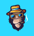 monkey head logo vector image