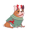 bulldog in a christmas sweater with deer vector image vector image