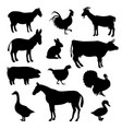 domestic farm animals birds black silhouettes vector image