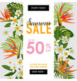 summer sale tropical banner seasonal promotion vector image