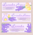 hand drawn banner with lavender and oil burner vector image vector image