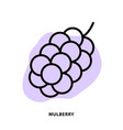 mulberry linear icon design for application vector image vector image