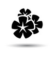 frangipani flower icon vector image