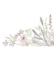 drawing floral vintage template vector image