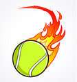 flast flaming tennis ball vector image