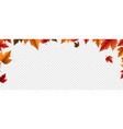 autumn banner with colorful leaves transparent vector image