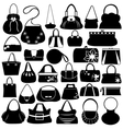 female purse set vector image