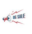 big sale sign with retro megaphone vintage vector image