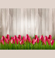 nature spring background with red tulips vector image vector image
