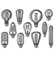 vintage lightbulbs collection vector image