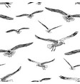 sketches flying sea birds vector image