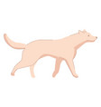 dog walking cute pet domestic animal character vector image