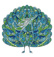 peacock vintage fantasy bird with floral ornament vector image vector image
