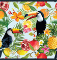 seamless tropical fruits and toucan pattern vector image