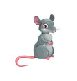 cartoon rat chinese zodiac animal astrology sign vector image