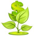 dollar plant vector image