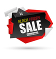 black friday sale banner vector image