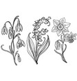 wild flowers with leaves set of wedding botanical vector image vector image