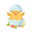 cartoon chick vector image