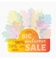 autumn sale banner with discount vector image