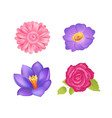 flowers set poster decor vector image