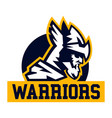 warrior logo viking invader knight face vector image