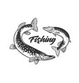 fishing fresh seafood template design vector image