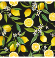 seamless pattern lemon fruits background floral vector image vector image