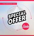 sale banner template special offer this weekend vector image vector image