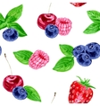 seamless pattern with berries vector image