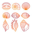 seashells colorful outline seashell set vector image vector image