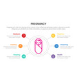 newborn things baby for pregnant or pregnancy vector image