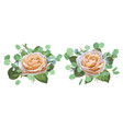 set watercolor beautiful roses vector image vector image