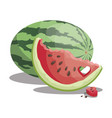 cartoon watermelon sliced sweet vector image