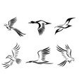 set six images various birds flying vector image