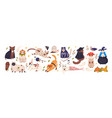 cute cats in spooky halloween costumes set funny vector image