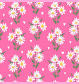 sketch flowers camomile on a pink background vector image