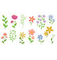 spring flowers set with white background vector image