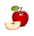red apple with leaf and clove vector image vector image