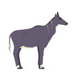 boselaphus tragocamelus - nilgai - male - flat vector image vector image