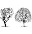 two trees vector image