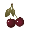 cherries background vector image
