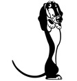 cartoon dachshund black white vector image vector image