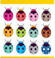ladybug pattern abstract texture set different vector image vector image