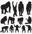 ape silhouettes vector image